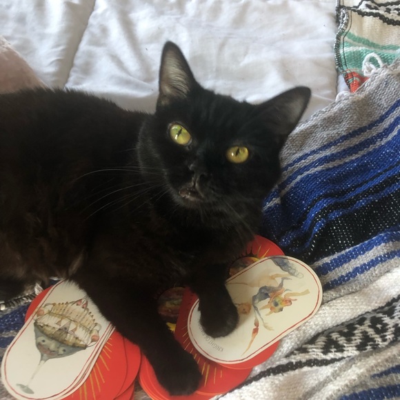 Meet your Posher, Katy - Picture 1 of 1